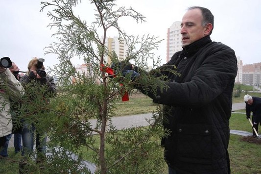 Боржоми в Гродно садят аллею