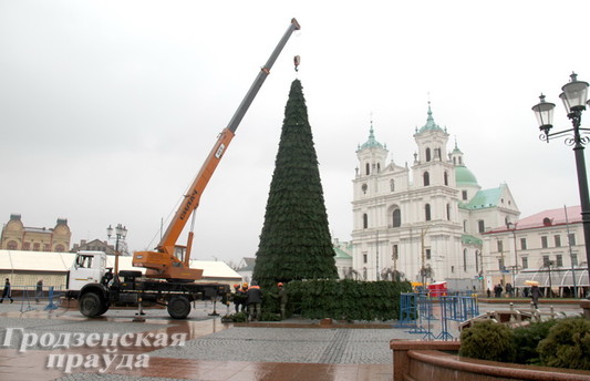 В Гродно устанавливают новогодние елки