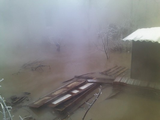 Жертва потопа на Белуша—Татарской