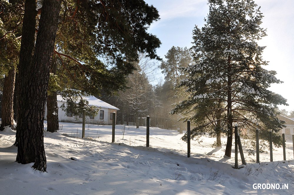 Гродно зимой фото