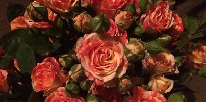 Кустовая оранжево-желтая роза