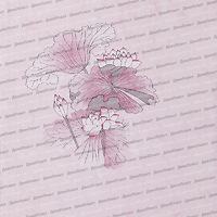 Розовая лилия