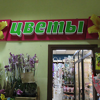 Цветочный магазин на Лиможа 32Б (Алми)