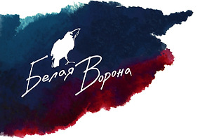 Студия дизайна интерьеров «Белая Ворона» в Гродно